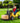 Rigo Kids Electric Ride On Car Forklift Loader Toys Cars Horn Remote 12V Yellow
