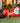 Airpower Lying Santa 240cm