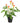 Artificial Flowering White & Orange Peace Lily / Calla Lily Plant 50cm