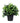 Small Potted Artificial Jasmine Plant UV Resistant 20cm