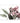 70cmx100cm Eucalyptus in Bloom White Frame Canvas Wall Art