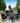 Outdoor Minimalist Black Wicker 6-Seater Dining Set