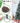 Home Ready 7Ft 210cm 1290 tips Green Snowy Christmas Tree Xmas Pine Cones