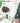 Home Ready 5Ft 150cm 720 tips Green Snowy Christmas Tree Xmas Pine Cones