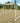 Lifespan Kids Daintree 2-in-1 Monkey Bars & Swing Set
