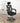Office Chair Gaming Computer Chairs Mesh Back Foam Seat - Black