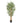 Premium Natural Cane Artificial Bamboo (UV Resistant) 180cm