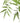 Premium Natural Cane Artificial Bamboo (UV Resistant) 180cm