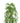 Artificial Dense Hanging Evergreen Plant (Two-Tone) UV Resistant 80cm