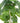 Decorative Ceramic Bowl Potted Artificial Monstera Plant 30cm