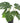 Potted Artificial Split Philodendron Plant With Real Touch Leaves 35cm
