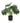 Dense Potted Artificial Split Philodendron Plant With Real Touch Leaves 50cm