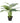 Artificial Potted Taro Plant / Elephant Ear 70cm